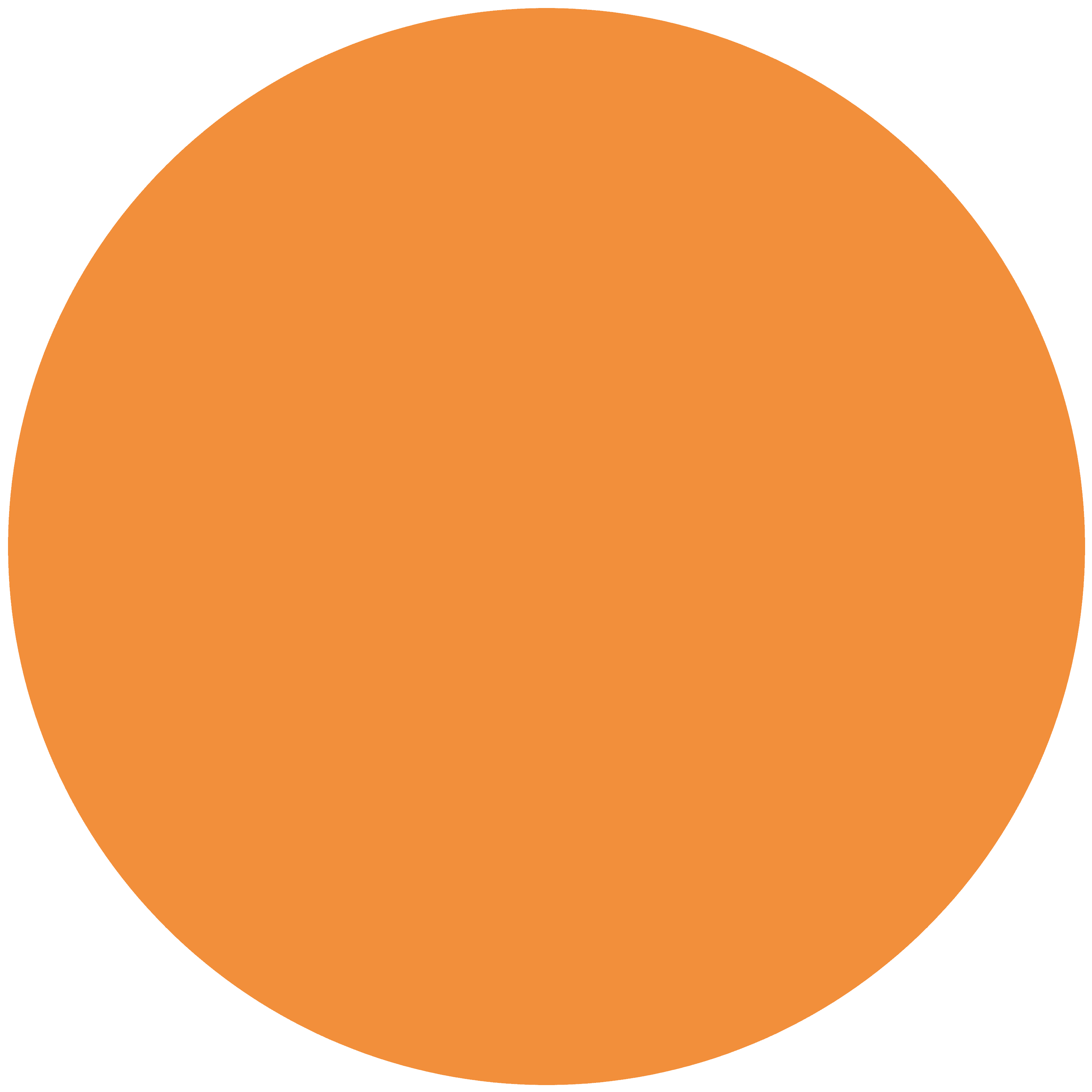 Orange Circle